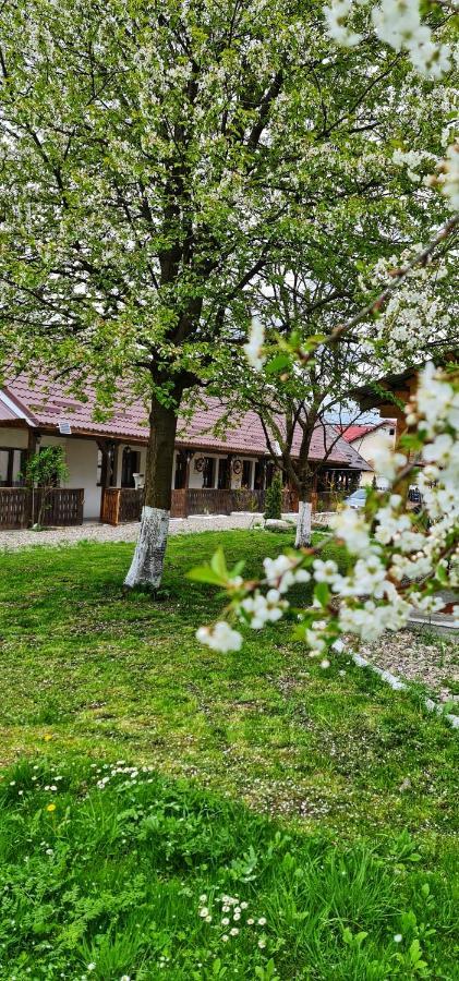 La Romaneasa Săpânța Exterior photo